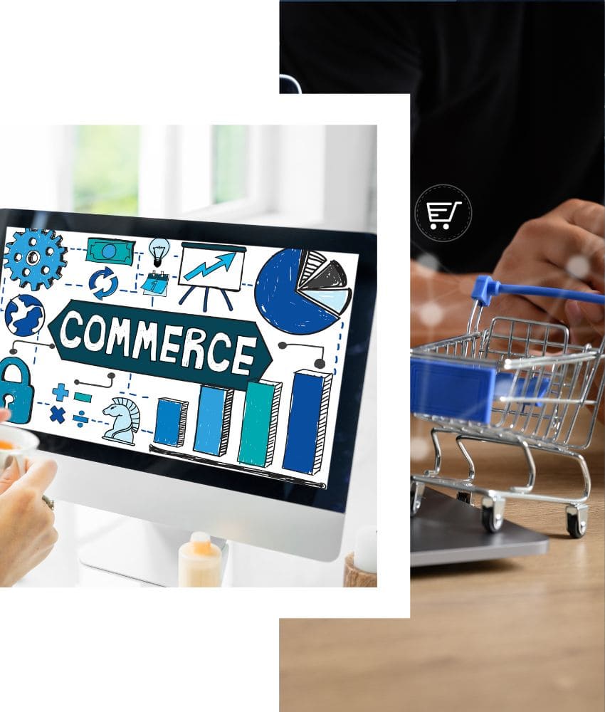 E-commerce Management Agency in India